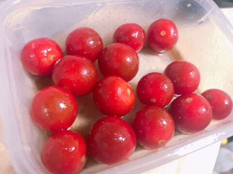 簡単副菜!トマトのポン酢和え